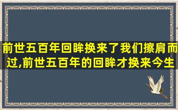 前世五百年回眸换来了我们擦肩而过,前世五百年的回眸才换来今生的擦肩而过是什么意思