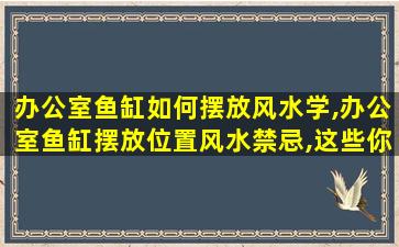 办公室鱼缸如何摆放风水学,办公室鱼缸摆放位置风水禁忌,这些你都知道吗