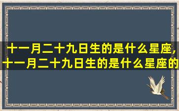 十一月二十九日生的是什么星座,十一月二十九日生的是什么星座的人