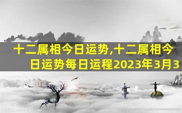 十二属相今日运势,十二属相今日运势每日运程2023年3月3