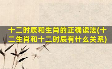 十二时辰和生肖的正确读法(十二生肖和十二时辰有什么关系)
