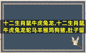 十二生肖鼠牛虎兔龙,十二生肖鼠牛虎兔龙蛇马羊猴鸡狗猪,肚子留白写年月日