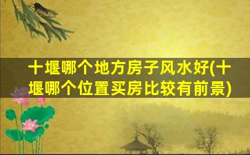 十堰哪个地方房子风水好(十堰哪个位置买房比较有前景)
