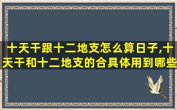 十天干跟十二地支怎么算日子,十天干和十二地支的合具体用到哪些地方