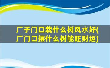 厂子门口栽什么树风水好(厂门口摆什么树能旺财运)