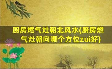 厨房燃气灶朝北风水(厨房燃气灶朝向哪个方位zui
好)