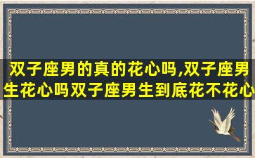 双子座男的真的花心吗,双子座男生花心吗双子座男生到底花不花心