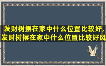 发财树摆在家中什么位置比较好,发财树摆在家中什么位置比较好风水