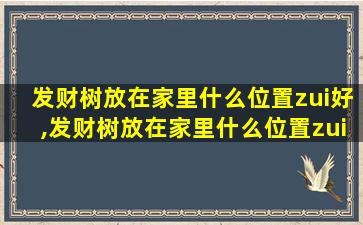 发财树放在家里什么位置zui
好,发财树放在家里什么位置zui
好风水