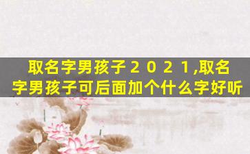 取名字男孩子２０２１,取名字男孩子可后面加个什么字好听