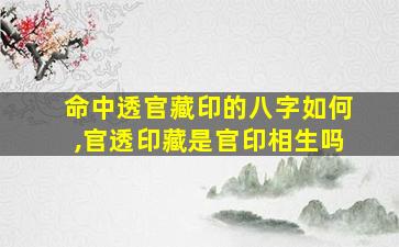 命中透官藏印的八字如何,官透印藏是官印相生吗