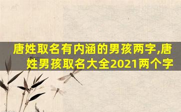 唐姓取名有内涵的男孩两字,唐姓男孩取名大全2021两个字