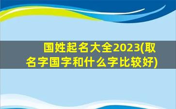 国姓起名大全2023(取名字国字和什么字比较好)