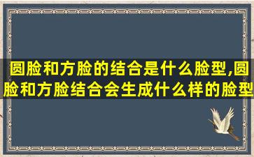 圆脸和方脸的结合是什么脸型,圆脸和方脸结合会生成什么样的脸型