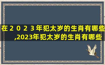 在２０２３年犯太岁的生肖有哪些,2023年犯太岁的生肖有哪些属相应怎样化解