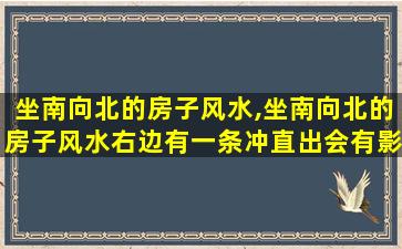 坐南向北的房子风水,坐南向北的房子风水右边有一条冲直出会有影响吗