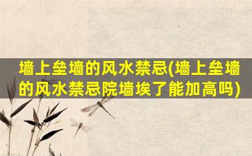 墙上垒墙的风水禁忌(墙上垒墙的风水禁忌院墙埃了能加高吗)