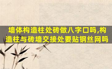 墙体构造柱处砖做八字口吗,构造柱与砖墙交接处要贴钢丝网吗