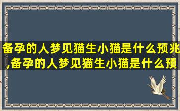 备孕的人梦见猫生小猫是什么预兆,备孕的人梦见猫生小猫是什么预兆解梦