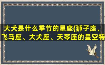 大犬是什么季节的星座(狮子座、飞马座、大犬座、天琴座的星空特点)