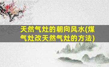 天然气灶的朝向风水(煤气灶改天然气灶的方法)