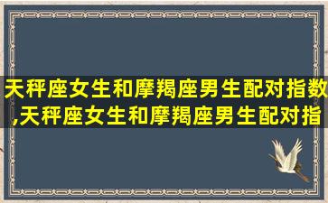 天秤座女生和摩羯座男生配对指数,天秤座女生和摩羯座男生配对指数是多少