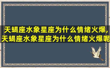 天蝎座水象星座为什么情绪火爆,天蝎座水象星座为什么情绪火爆呢