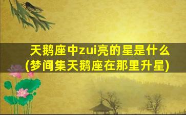 天鹅座中zui
亮的星是什么(梦间集天鹅座在那里升星)