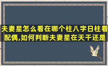 夫妻星怎么看在哪个柱八字日柱看配偶,如何判断夫妻星在天干还是在地支