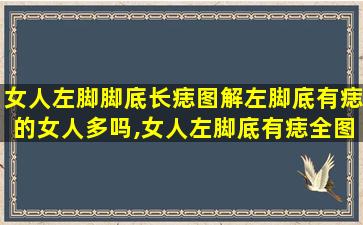 女人左脚脚底长痣图解左脚底有痣的女人多吗,女人左脚底有痣全图解吉凶介绍