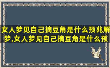 女人梦见自己摘豆角是什么预兆解梦,女人梦见自己摘豆角是什么预兆解梦梦见蛇