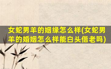 女蛇男羊的姻缘怎么样(女蛇男羊的婚姻怎么样能白头偕老吗)