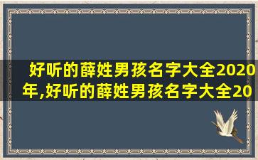 好听的薛姓男孩名字大全2020年,好听的薛姓男孩名字大全2020年属兔