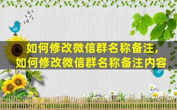 如何修改微信群名称备注,如何修改微信群名称备注内容