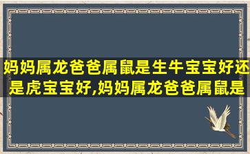 妈妈属龙爸爸属鼠是生牛宝宝好还是虎宝宝好,妈妈属龙爸爸属鼠是生牛宝宝好还是虎宝宝好一点