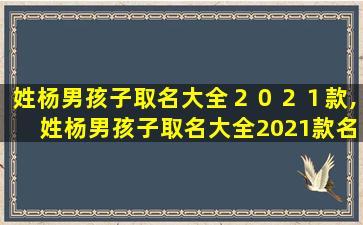 姓杨男孩子取名大全２０２１款,姓杨男孩子取名大全2021款名字