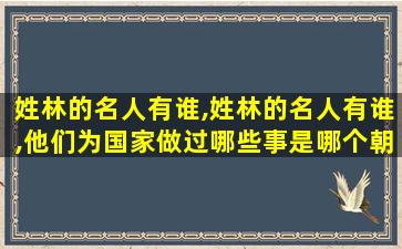 姓林的名人有谁,姓林的名人有谁,他们为国家做过哪些事是哪个朝代的