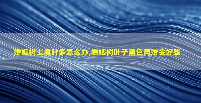 婚姻树上黑叶多怎么办,婚姻树叶子黑色再婚会好些