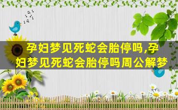 孕妇梦见死蛇会胎停吗,孕妇梦见死蛇会胎停吗周公解梦