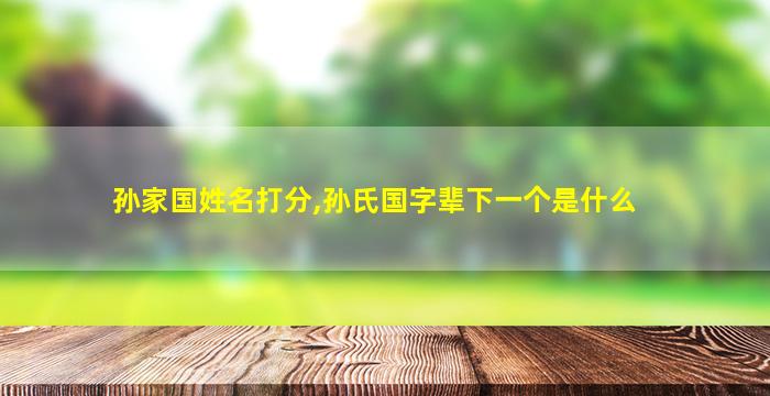 孙家国姓名打分,孙氏国字辈下一个是什么