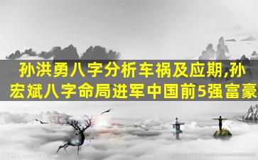 孙洪勇八字分析车祸及应期,孙宏斌八字命局进军中国前5强富豪