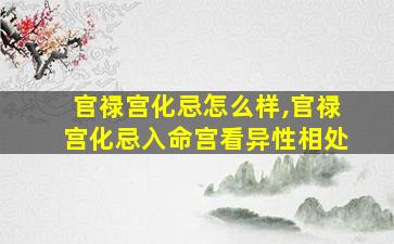 官禄宫化忌怎么样,官禄宫化忌入命宫看异性相处