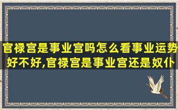 官禄宫是事业宫吗怎么看事业运势好不好,官禄宫是事业宫还是奴仆宫