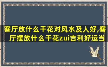 客厅放什么干花对风水及人好,客厅摆放什么干花zui
吉利好运当头