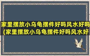 家里摆放小乌龟摆件好吗风水好吗(家里摆放小乌龟摆件好吗风水好吗*
)