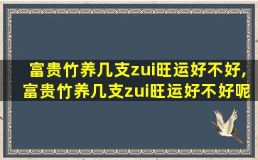 富贵竹养几支zui
旺运好不好,富贵竹养几支zui
旺运好不好呢