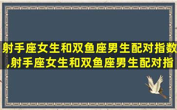 射手座女生和双鱼座男生配对指数,射手座女生和双鱼座男生配对指数是多少