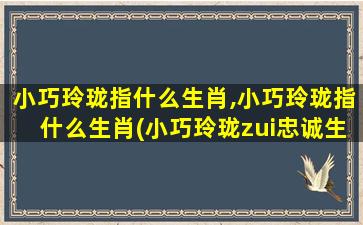 小巧玲珑指什么生肖,小巧玲珑指什么生肖(小巧玲珑zui
忠诚生肖)_风水人