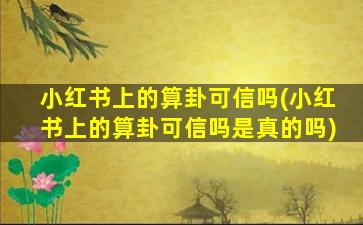 小红书上的算卦可信吗(小红书上的算卦可信吗是真的吗)