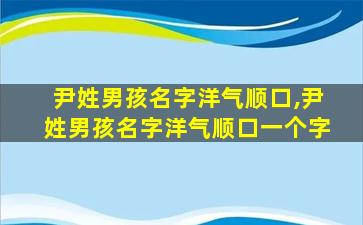 尹姓男孩名字洋气顺口,尹姓男孩名字洋气顺口一个字